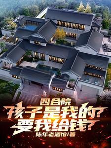 四合院的小婴儿