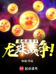 圣杯战争?龙珠战争! 终域