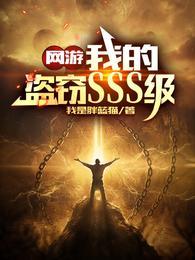 网游我的盗窃SSS级 第1020章