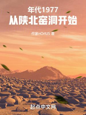 年代从陕北窑洞开始百