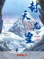 天龙穿越宋皇