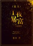 一夜暴富全本