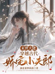 穿越古代娇宠小夫郎完整