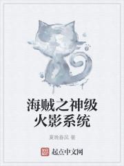 海贼之火影系统 txt