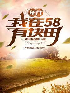 年代我在58有块田作者风格折腰