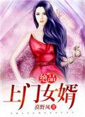 绝品上门女婿 520