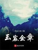 玉宸金章完整
