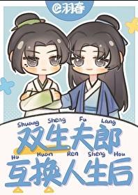 双生夫郎互换人生后免费完整版