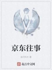 京东经历