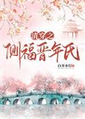 清穿之侧福晋守则免费阅读