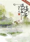 清穿之独步天下