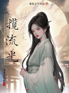 揽流光免费阅读