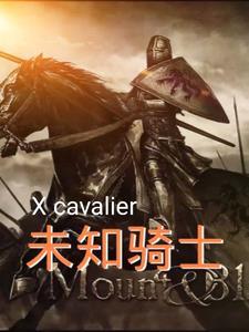 未知骑士gl
