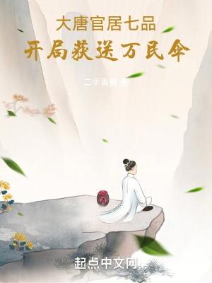大唐官人