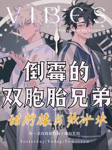 双胞胎兄弟英语