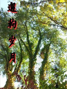 遛狗心情说说