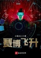 赛博飞升是什么意思