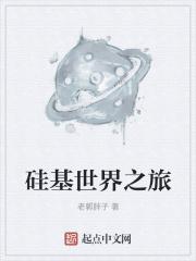 硅基是什么