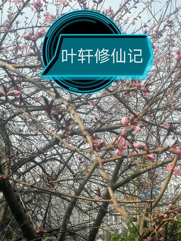主角叫叶轩的玄幻