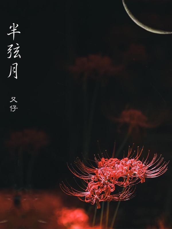 半弦月官网