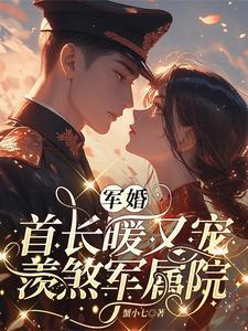 军婚首长暖又宠