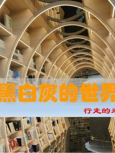 黑白灰的世界里让艺术更加什么