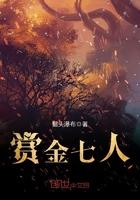赏金联赛什么水平