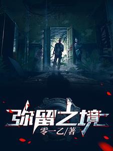 弥留之境密码