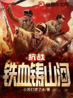 铁血抗战阅读