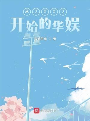 从2002开始起点