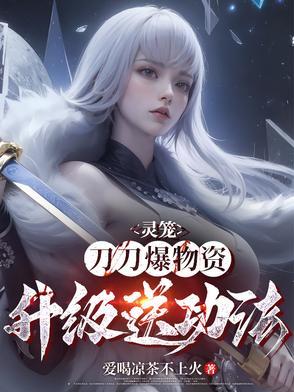 灵笼999刀片