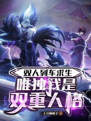 双人车什么意思