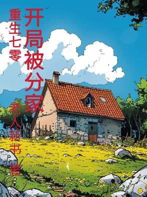 重生七零分家斗极品