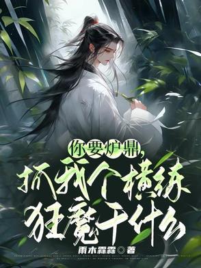 抓我个横练狂魔干什么作者雨木霖霖