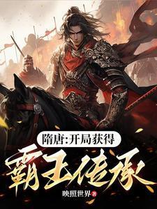 隋唐开局就得霸王枪