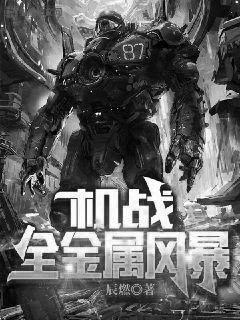 机战全金属风暴 第2378章