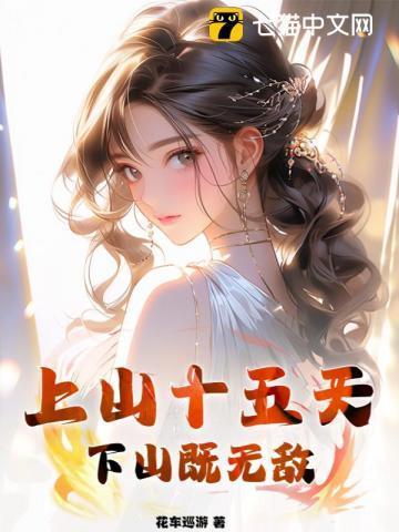 至尊高手叶锋免费阅读