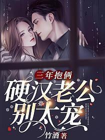 三年抱俩 txt