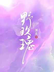 野玫瑰钢琴曲三级教学