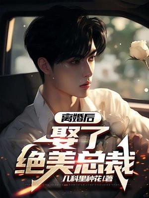 离婚后娶了元帅