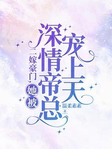二嫁豪门总裁