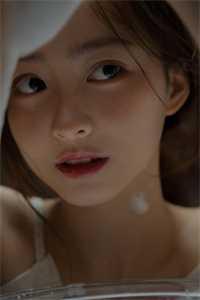 苏尘柳如烟全文免费阅读