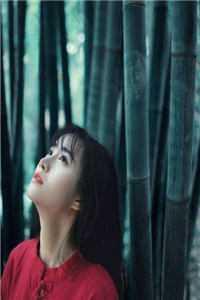 女主叫段乔的