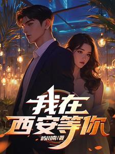 我在陕西等你