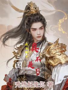 刘阿斗的