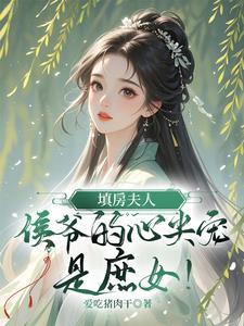 填房小妾免费阅读