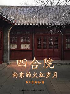 四合院火红的岁月TXT