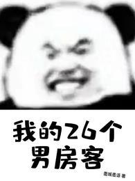 我的26个男房客百度