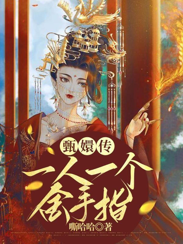 甄嬛传有多少块砖