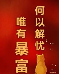 何以解忧唯有暴富意思